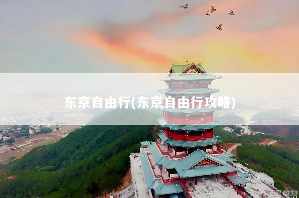 东京自由行(东京自由行攻略)